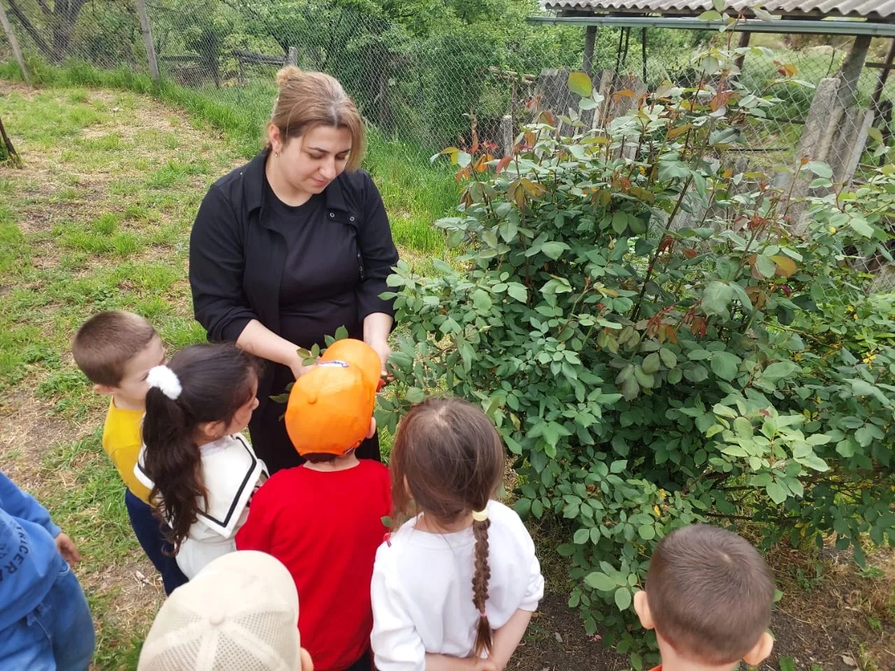 🌸 Прогулка в средней группе: Наблюдение за весенними цветами 🌸