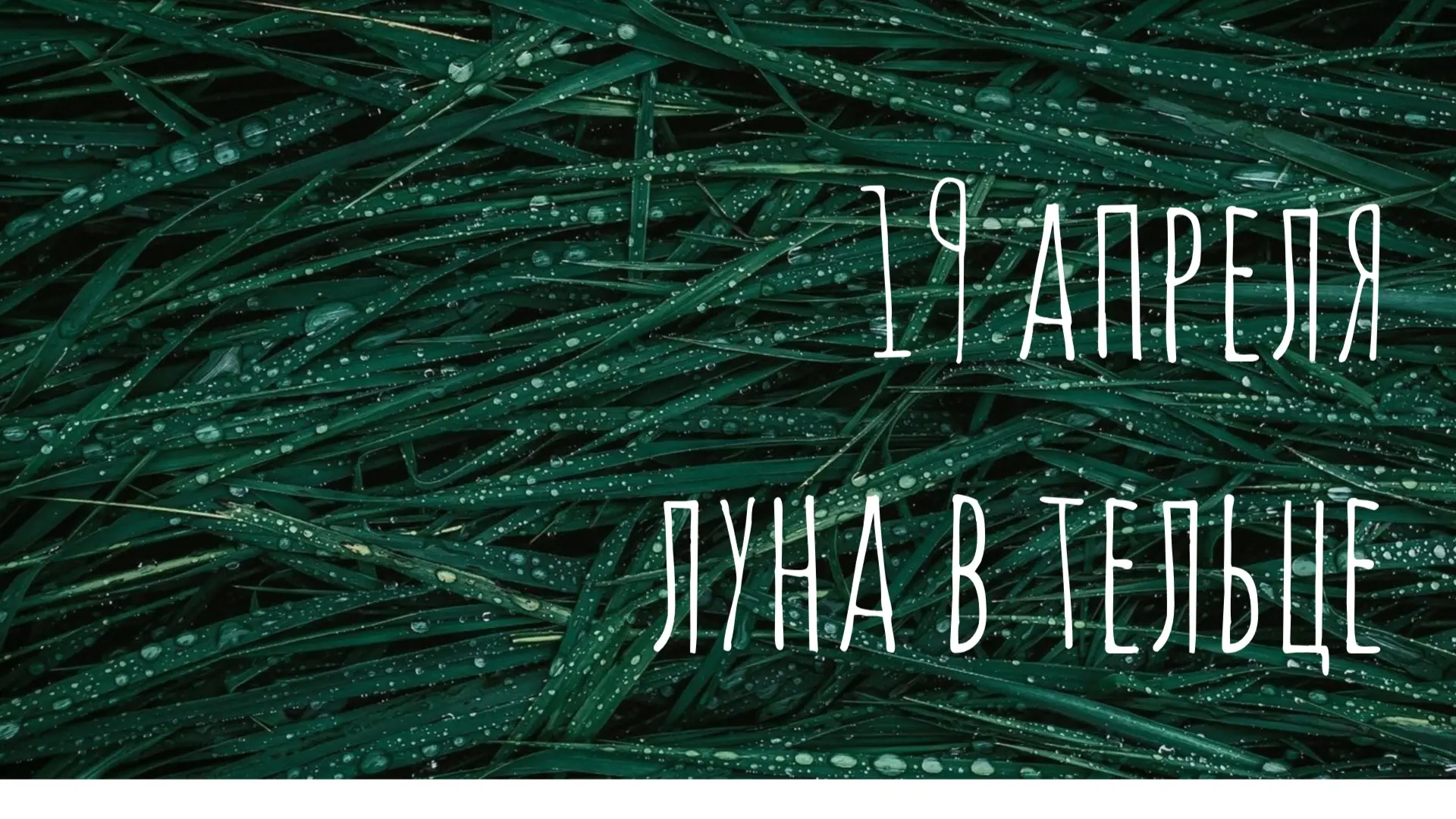 Атмосфера размеренная, устойчивая. Настроение никуда не спешить и не суетиться