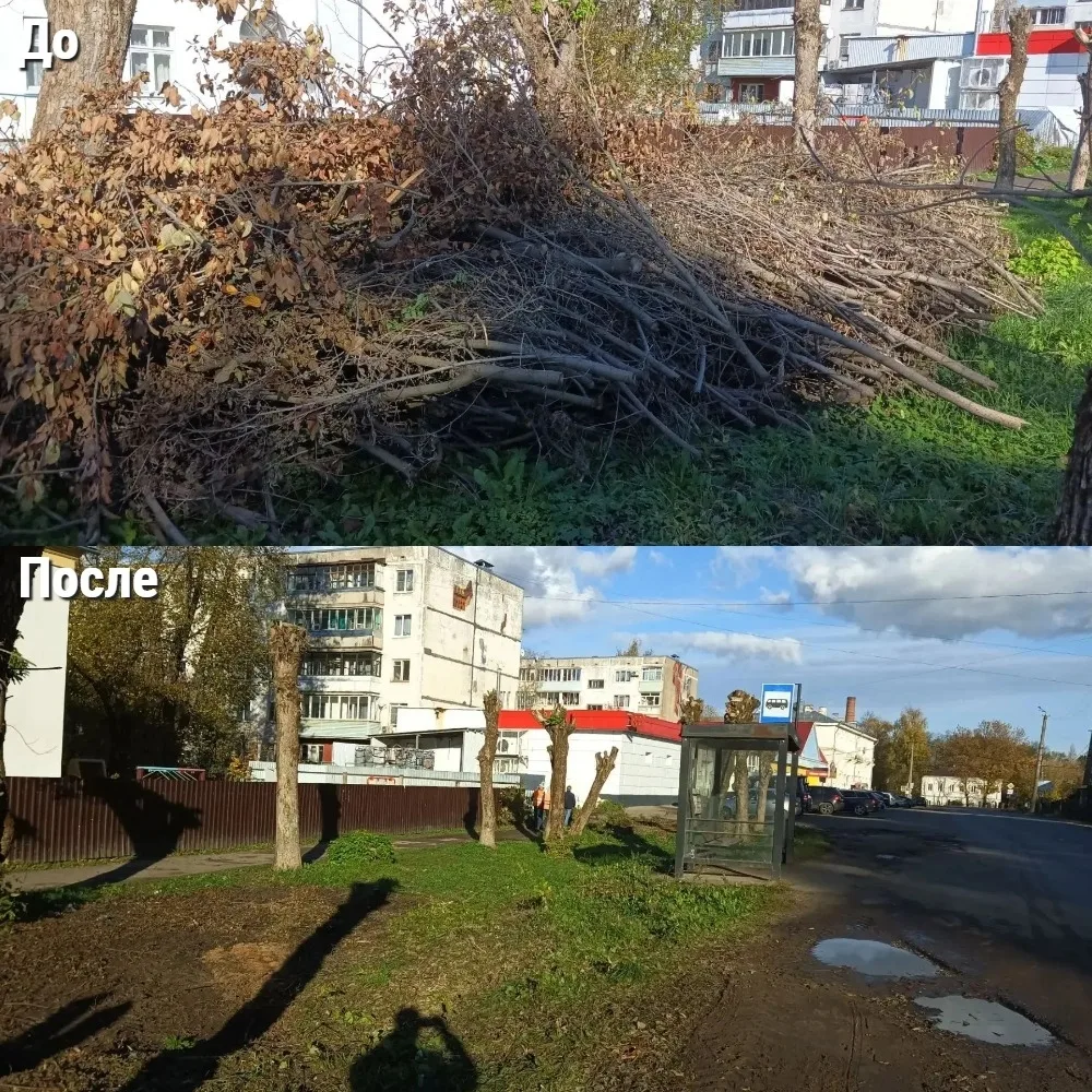 Специалисты МБУ «САХ и благоустройство» выполнили вывоз растительных отходов с территор...