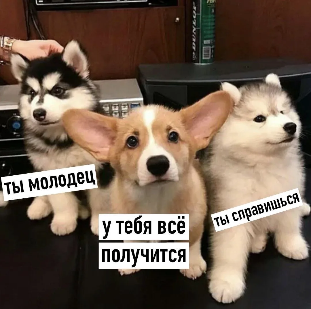 Так зачем откладывать то, к чему вас и так давно тянет?

⚡️ Этим самым мощным шагом для вас могут ст