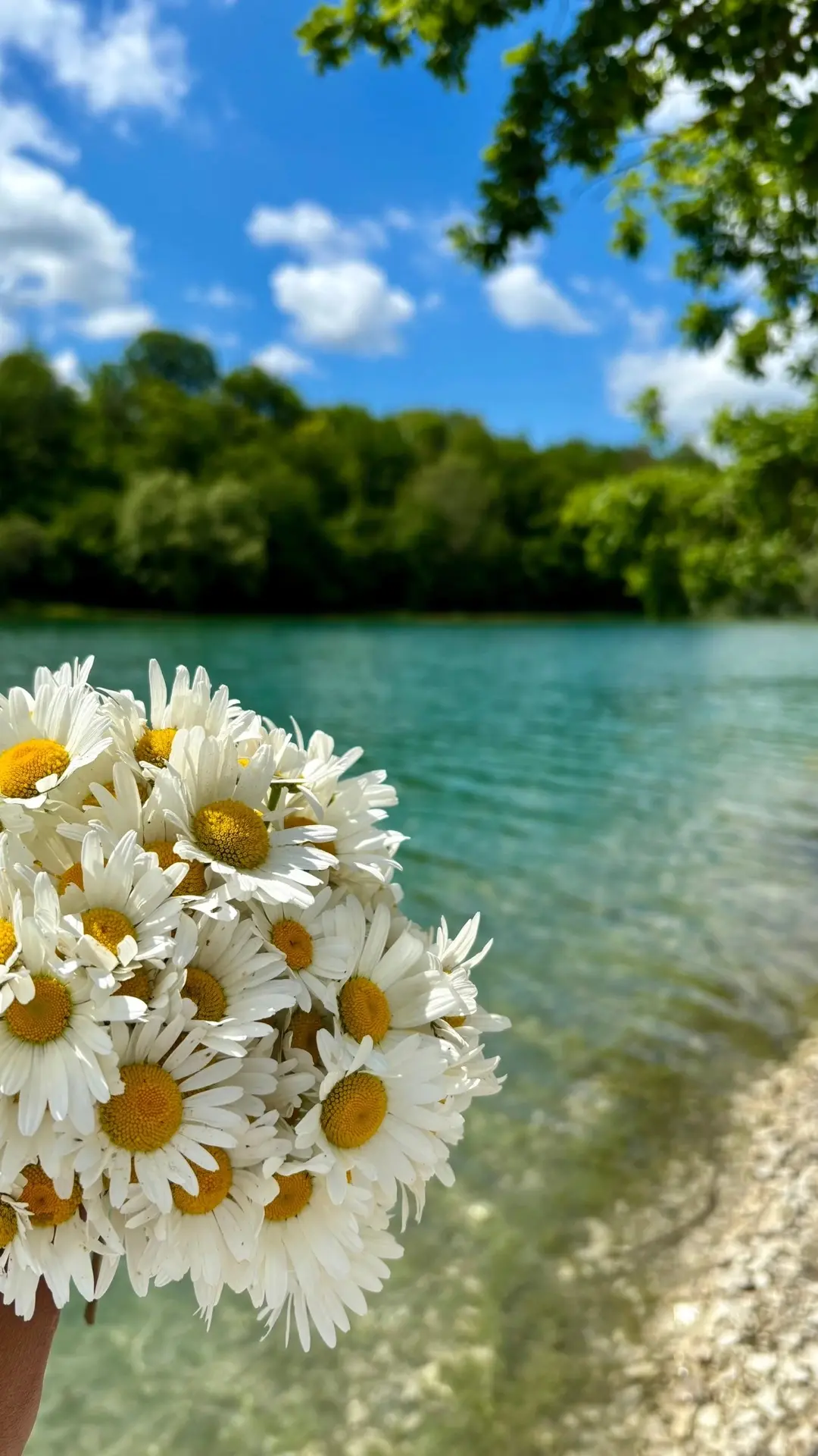 🏞️ Водохранилище в Новоульяновке! 

Одно из самых живописных мест Крыма😍, расположенное в горном у