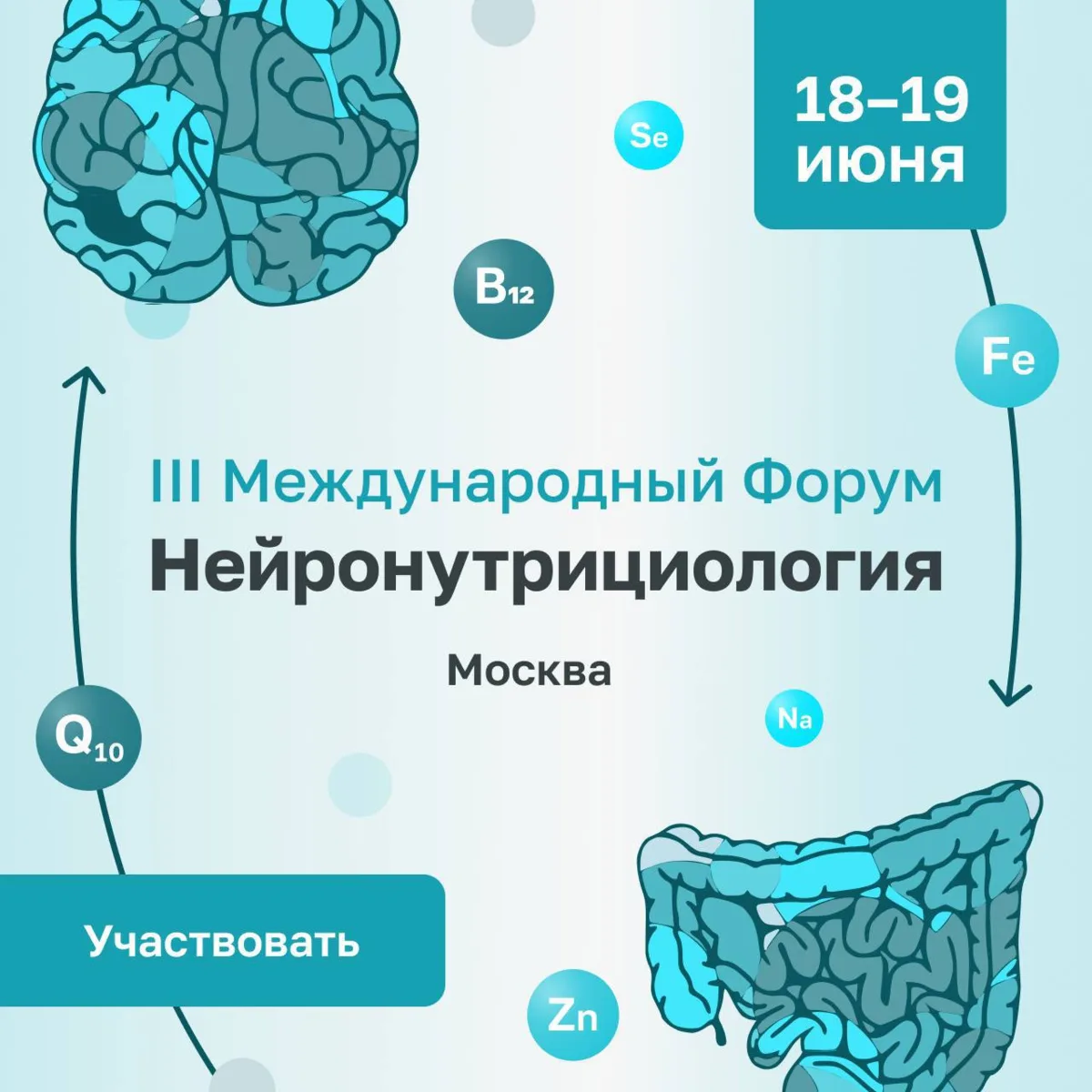 🧠 Нейронутрициология: как питание влияет на мозг, энергию и качество жизни