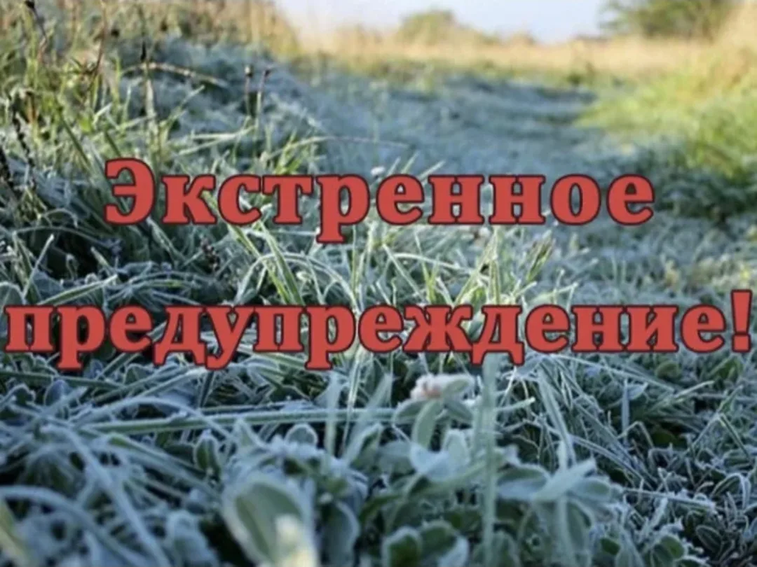 ЭКСТРЕННОЕ ПРЕДУПРЕЖДЕНИЕ