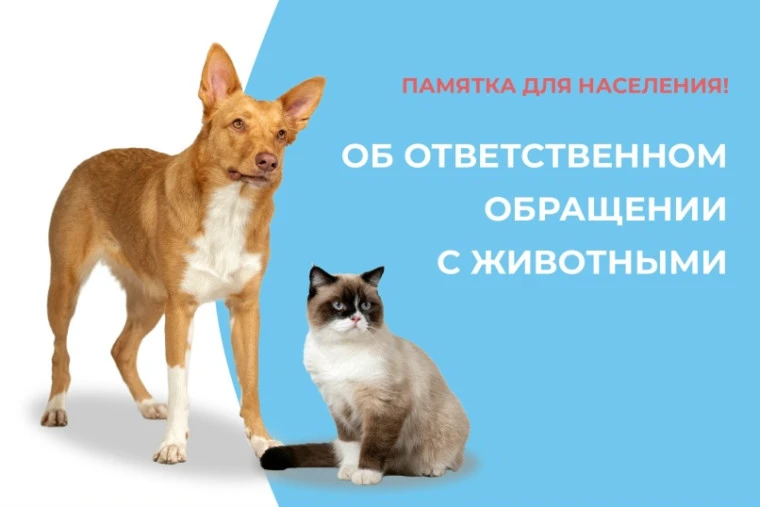 Памятка об ответственном отношении к животным