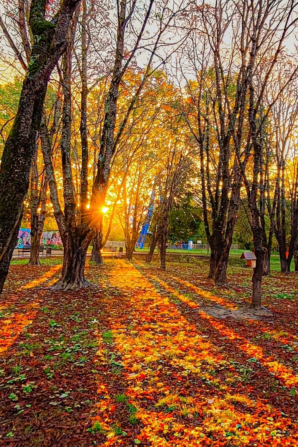 Доброе утро, Горячий Ключ ☀️