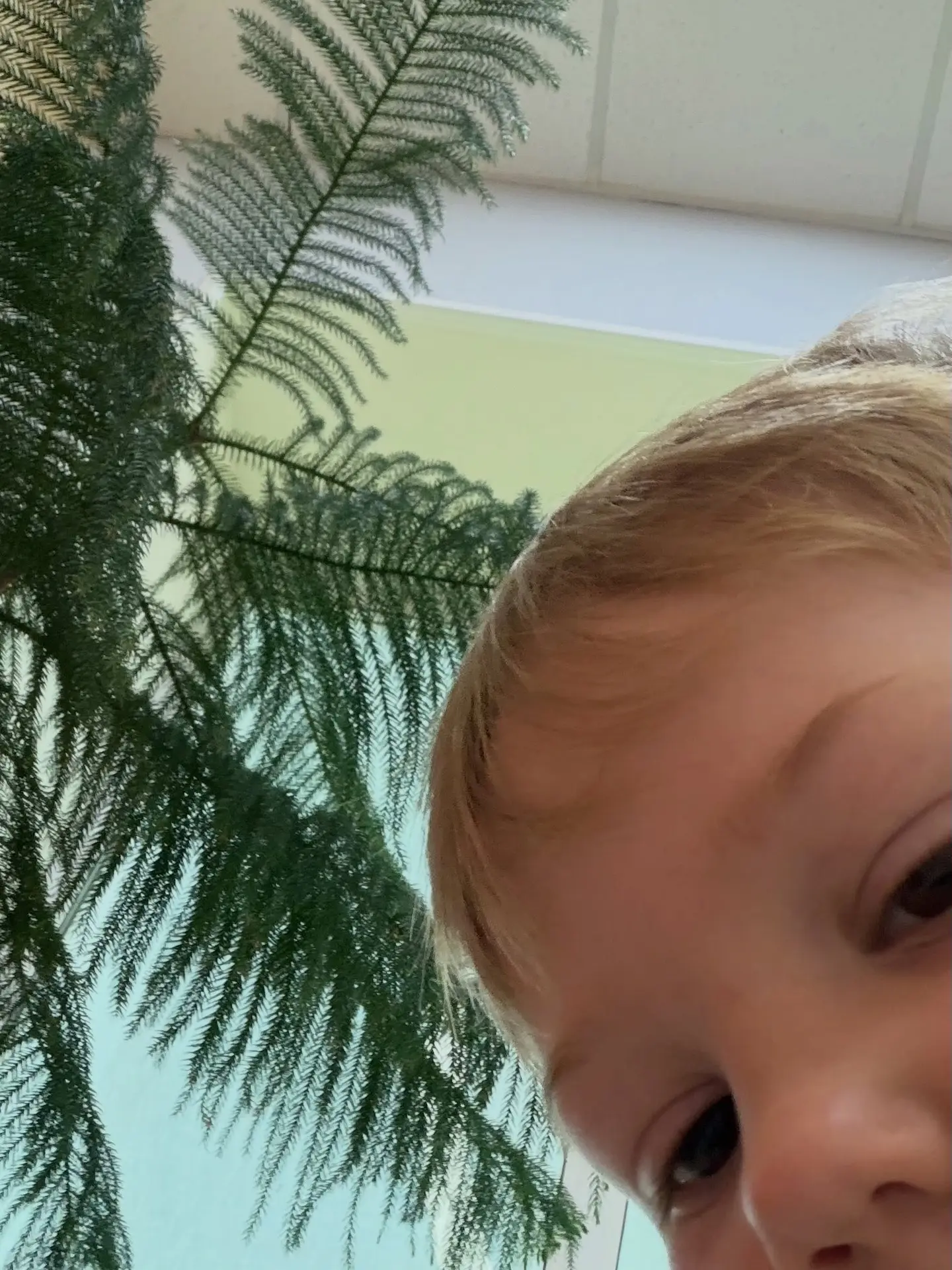 Пока мама-тренер  работает, сыновья создают контент 😃❤️