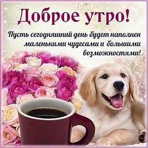 Список качественных каналов в МАХ | Подпишись!❤️