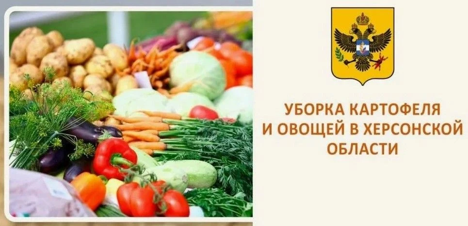 Сезон сбора картофеля и овощей в самом разгаре