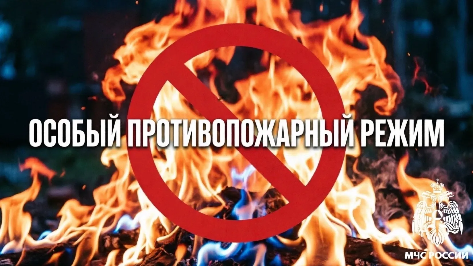 ‼️Внимание! Постановлением Правительства Республики Коми с 1 июня введён особый противо...