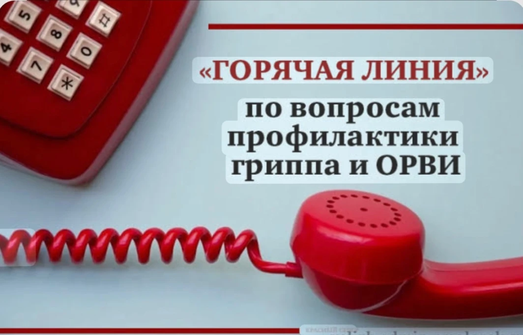 Управление Роспотребнадзора по Новгородской области информирует, что в период с 21 сент...