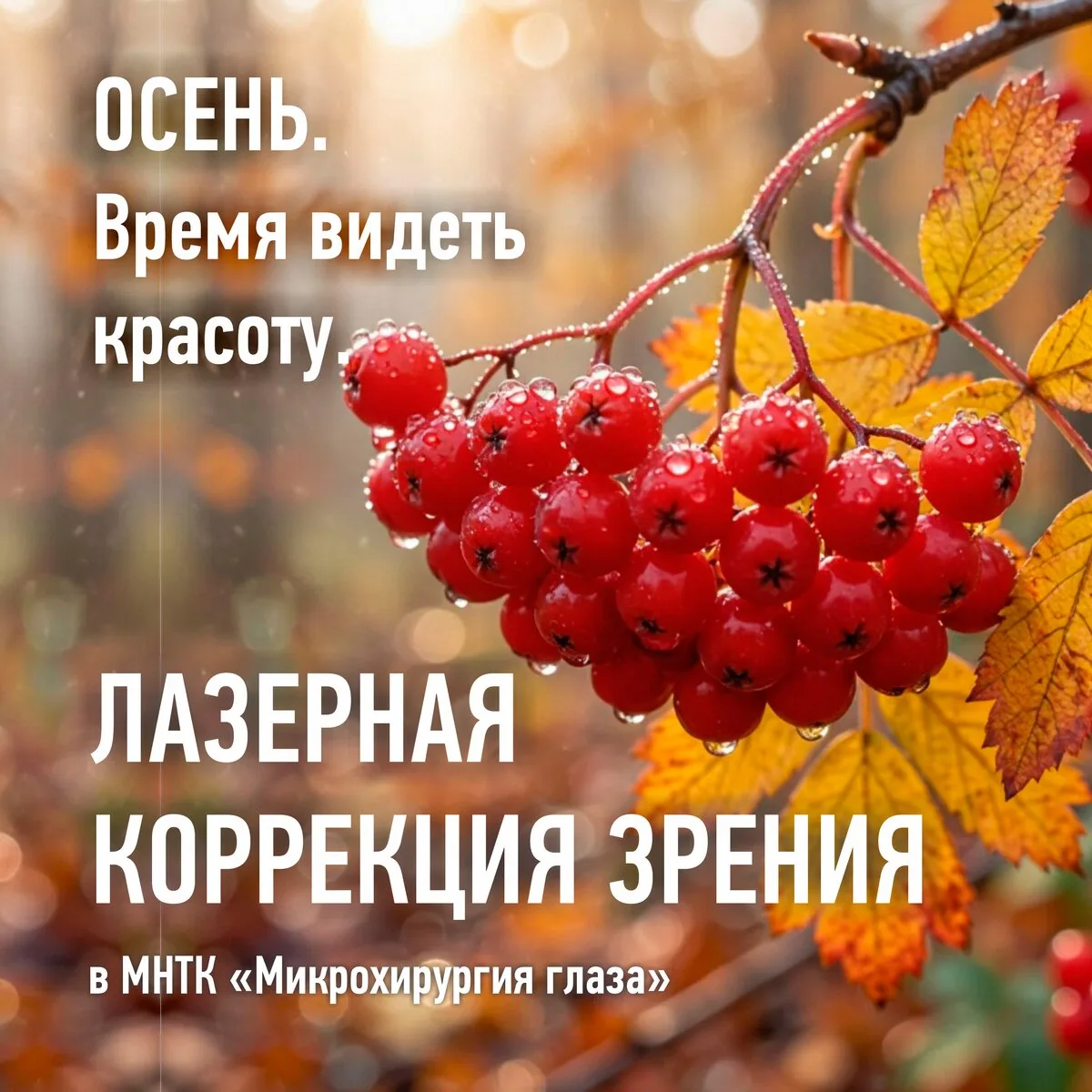 Лазерная коррекция зрения у профессионалов!