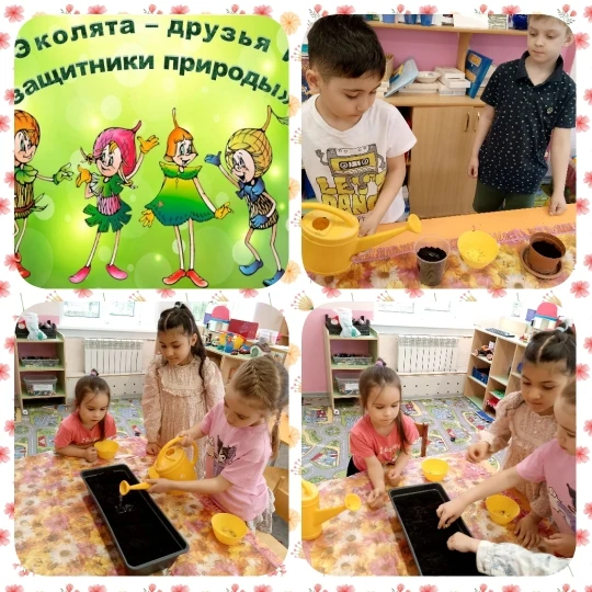 🌱✨ Эколята творят волшебство! ✨🌱  Что делают наши маленькие волшебники? Конечно, создают цветущий са