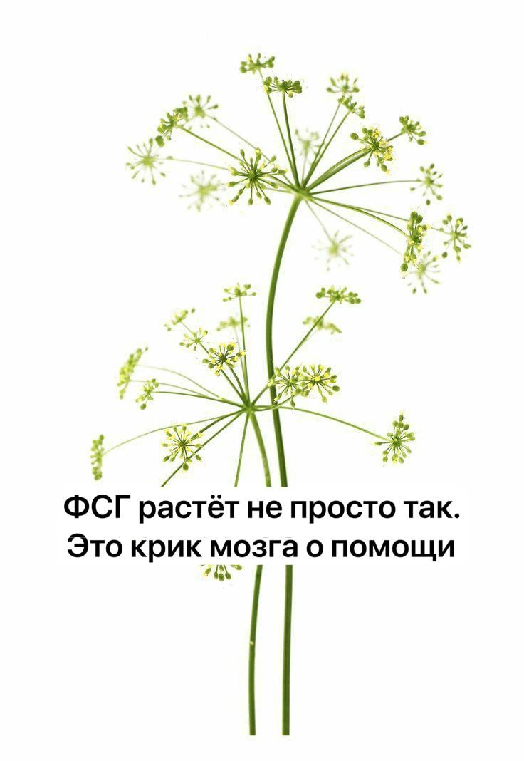 Многие женщины впервые узнают о ФСГ, когда видят повышенную цифру в анализах и начинают...