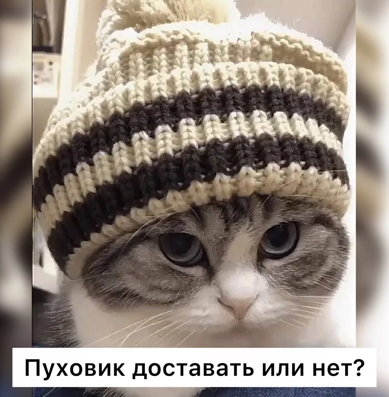 ☀️ Жара до +20 градусов может прийти в Тулу 9 октября, — сообщают синоптики