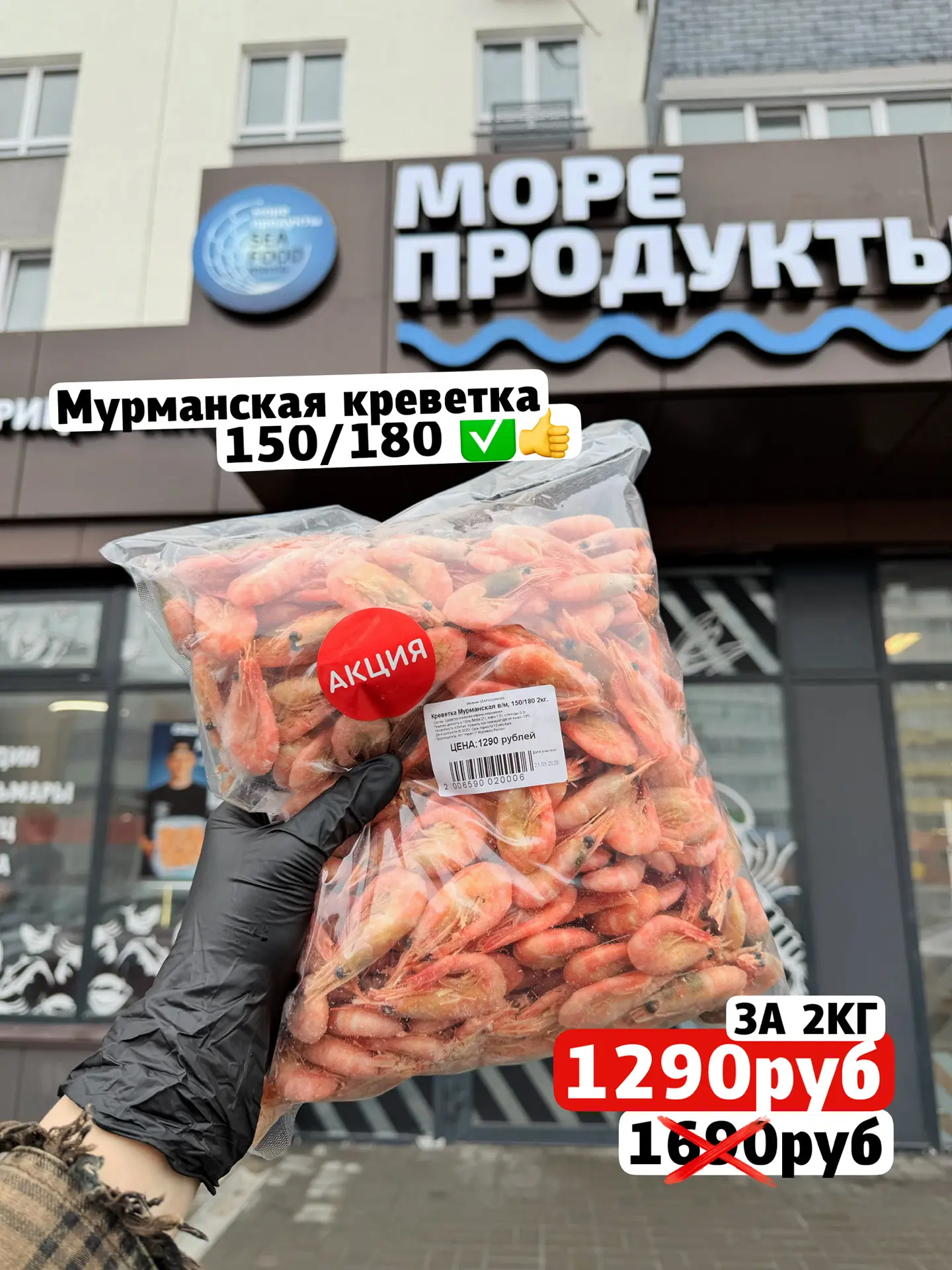 МУРМАНСКАЯ 150/180 ❤️👍🏻 средний размер по АКЦИИ 🔥