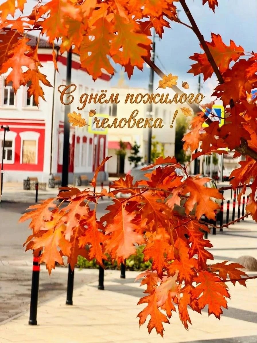 🍁Уважаемые ветераны, уважаемые представители старшего поколения!🍁
