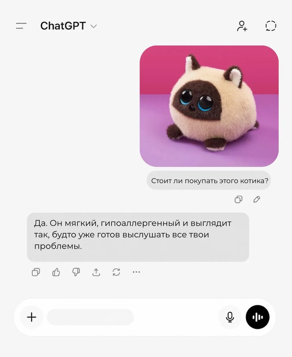 boomts.ru/boomtsiky