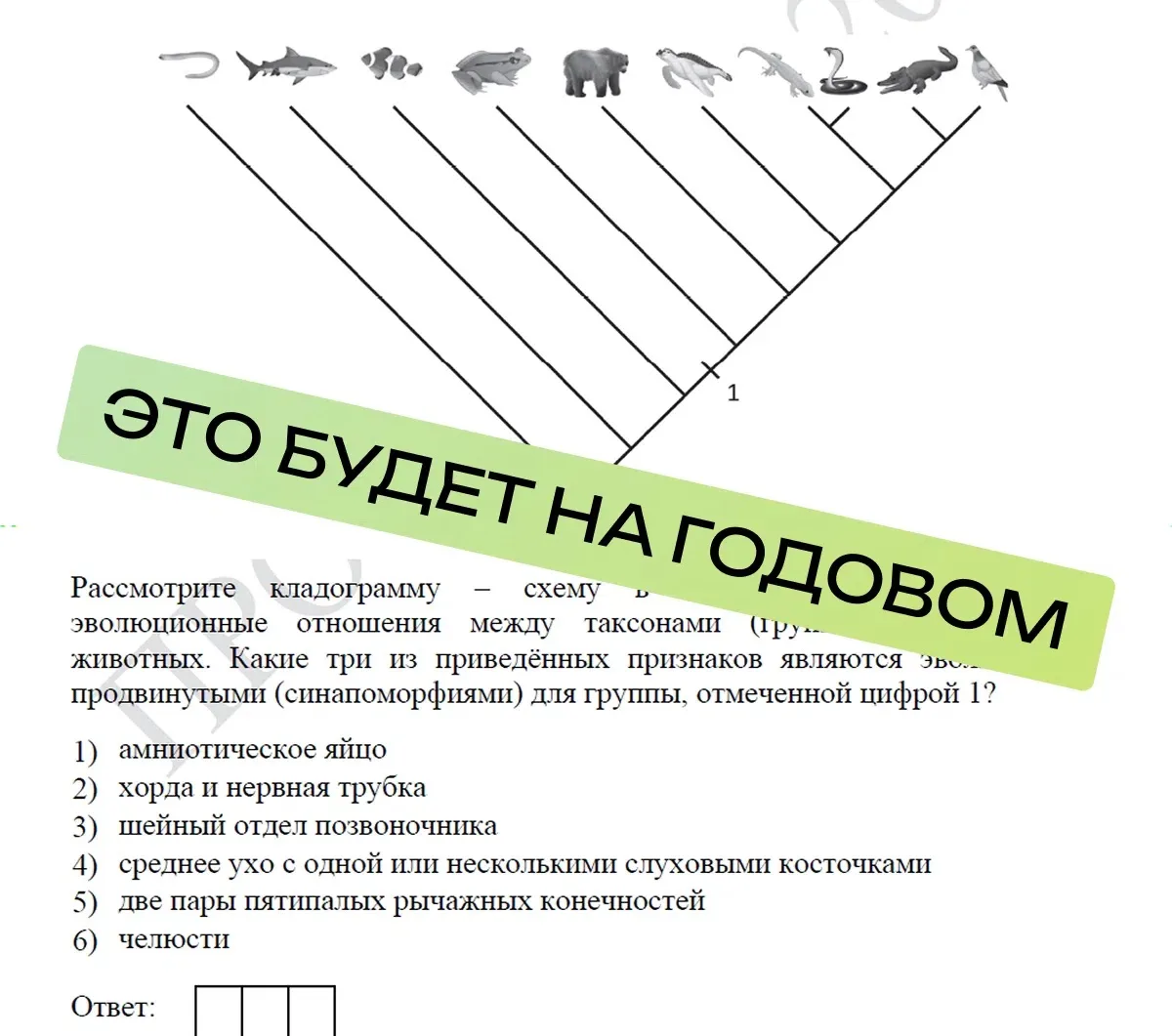 Годовой курс полностью адаптируется под все изменения в ЕГЭ 💯