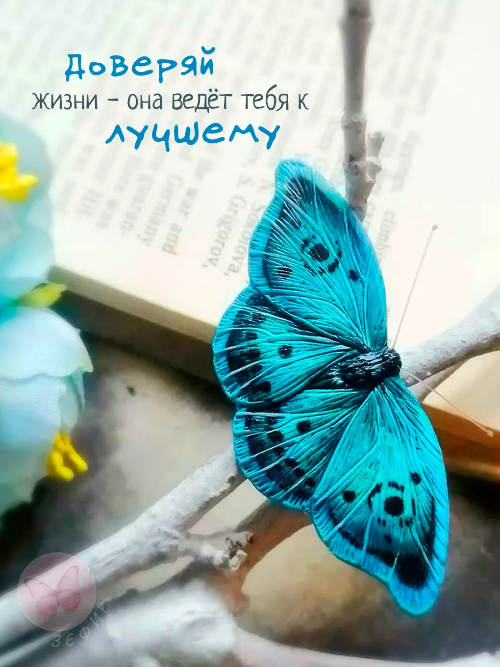 З Е Ф И Р