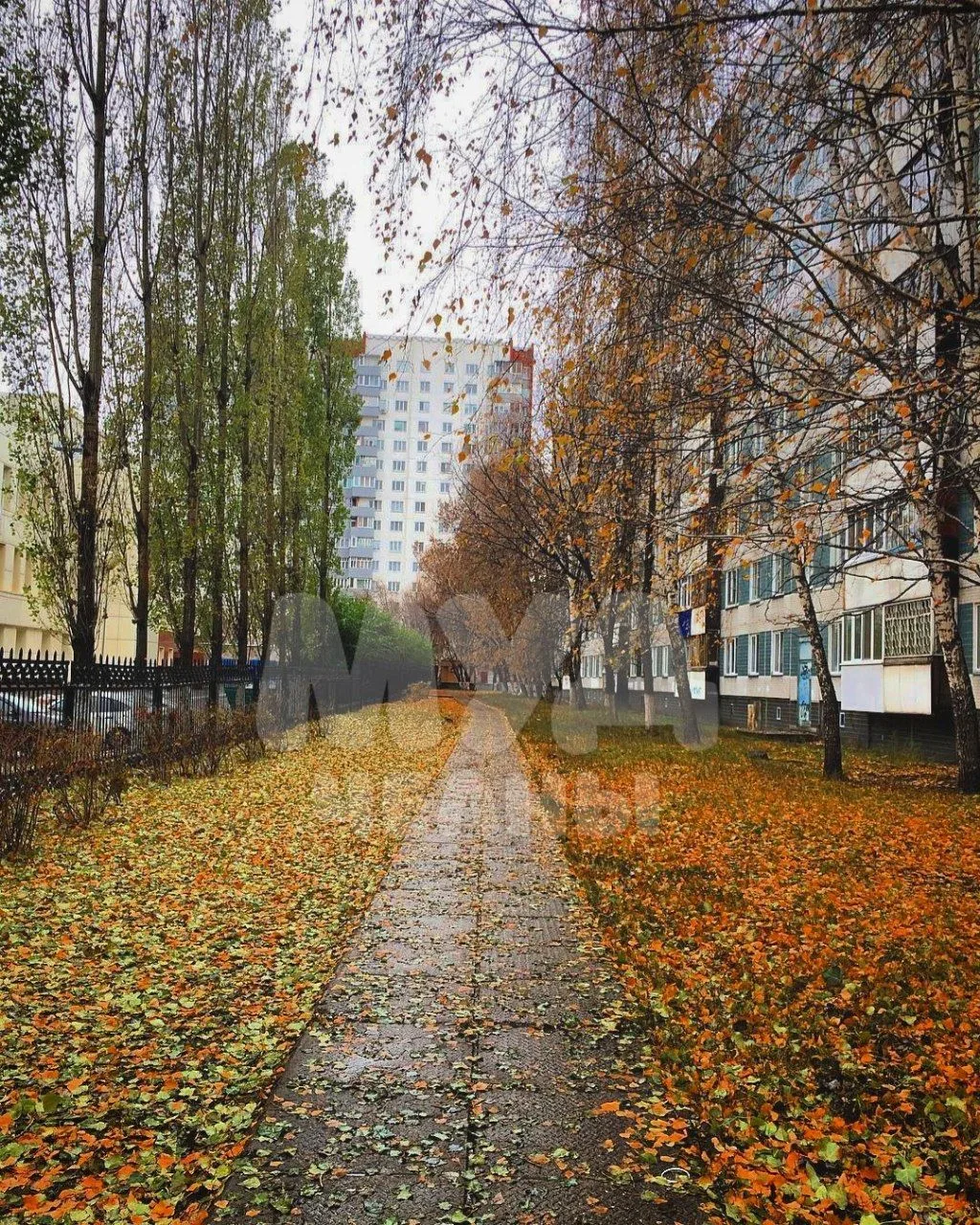 🌀 Сегодня в Челнах ожидается северный ветер и до +16° днем.