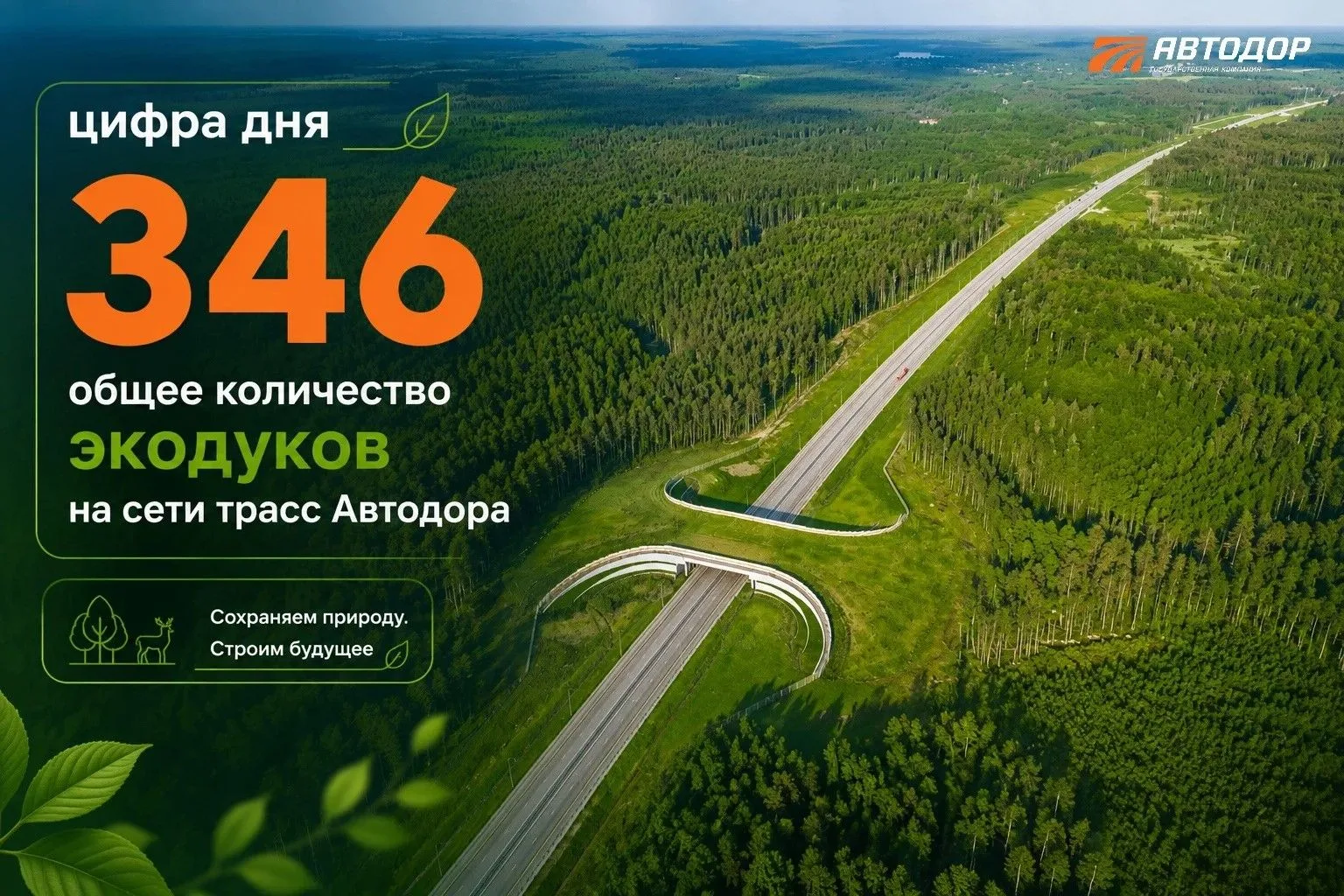 🌳Автодор стал основоположником в области строительства экодуков в России. Первое такое сооружение в