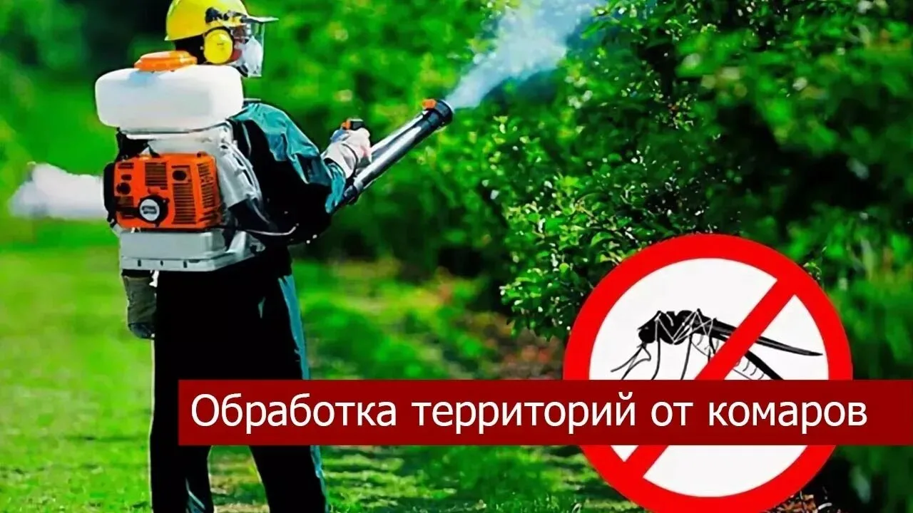 ОБУ «Окуловская райветстанция» проводит профессиональную обработку территорий от комаро...