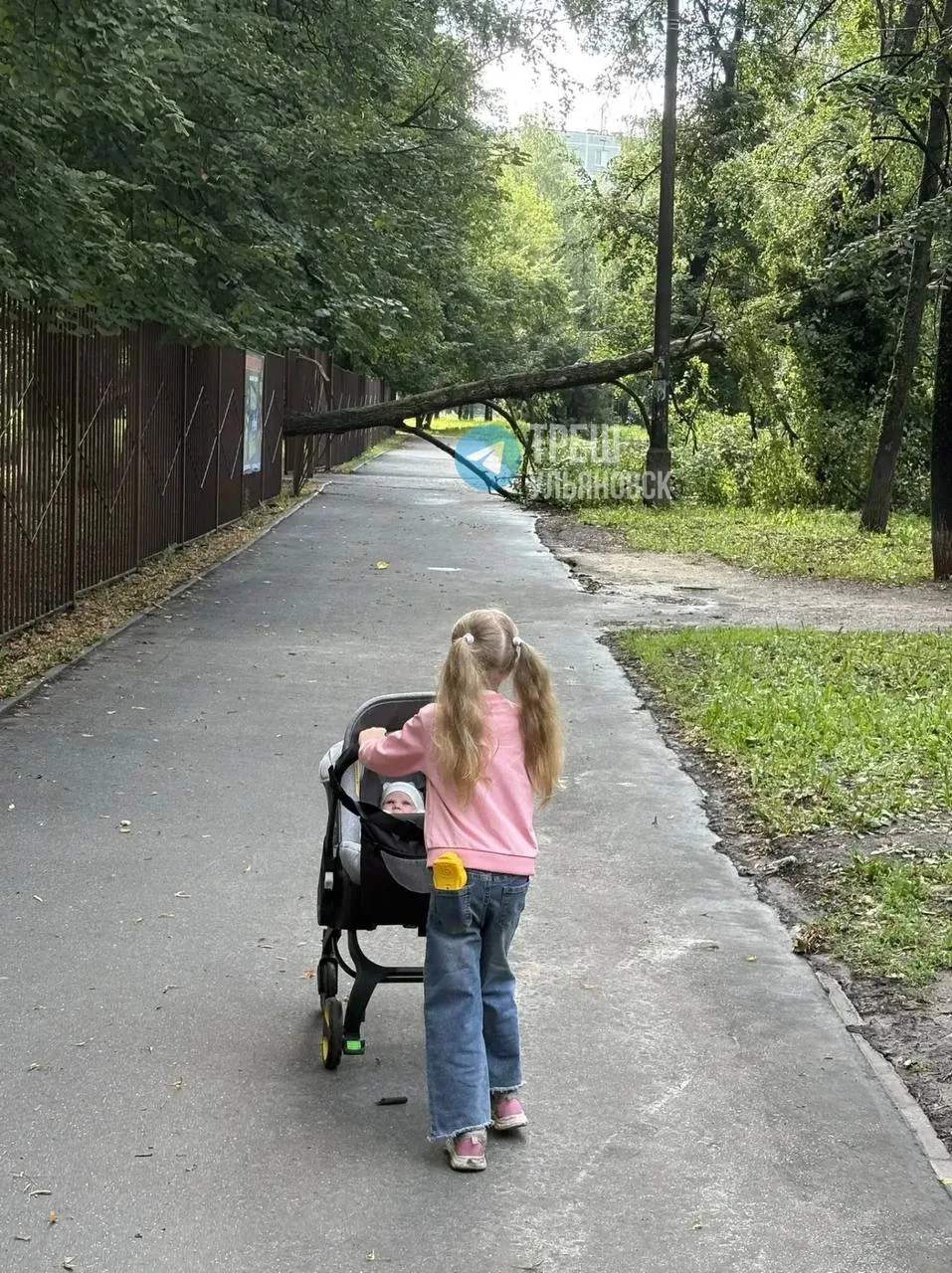 Дерево упало у 47-ой школы из-за непогоды