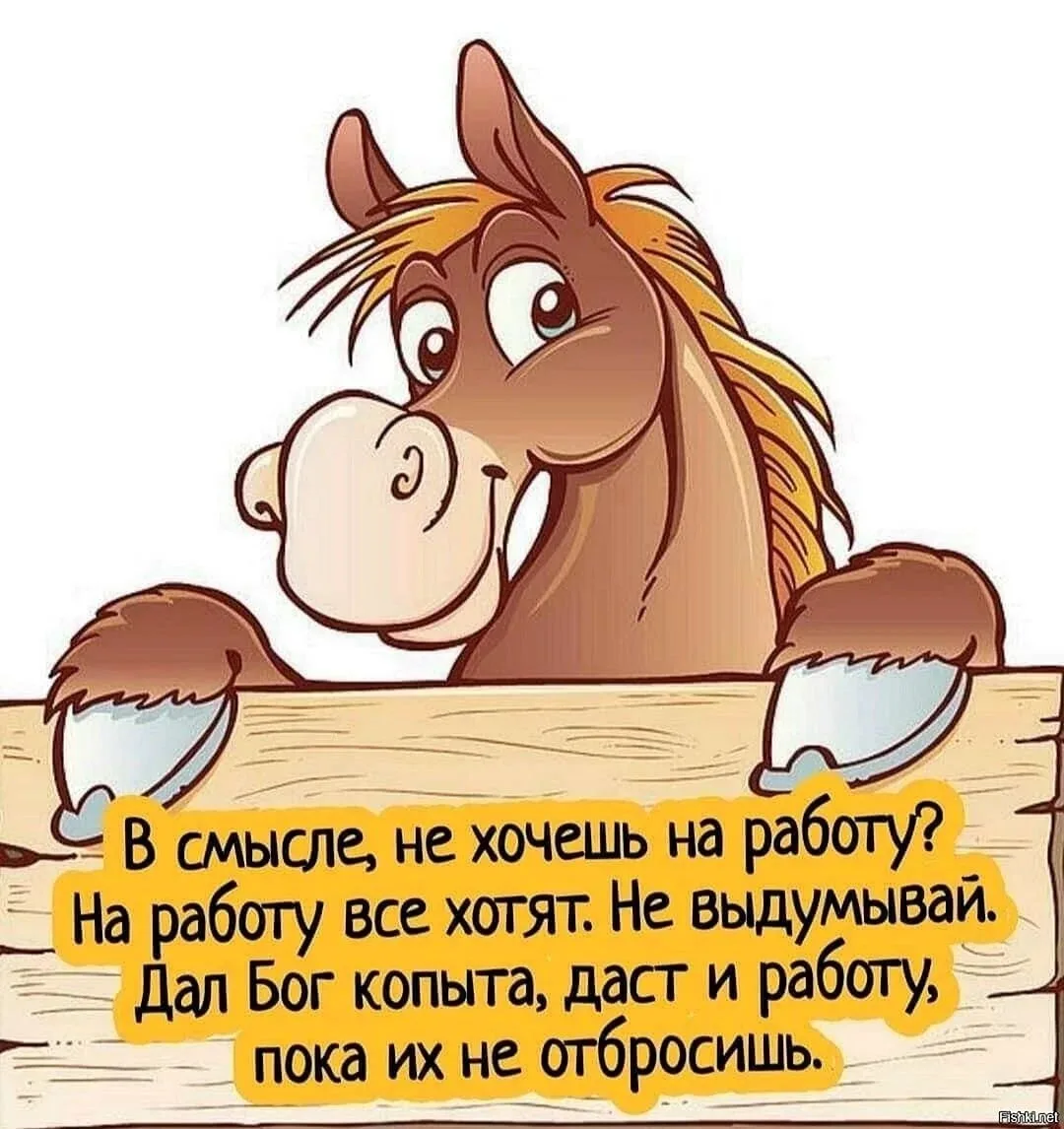 Давай, работай 🤣