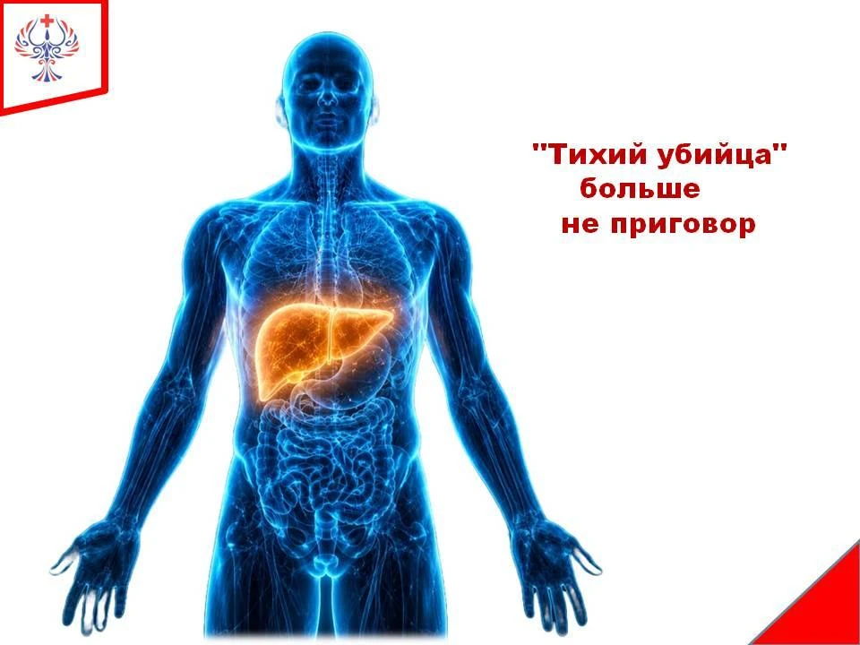 ✅ Представьте вирус, который годами живет внутри вас, тихо перестраивая печень под себя...