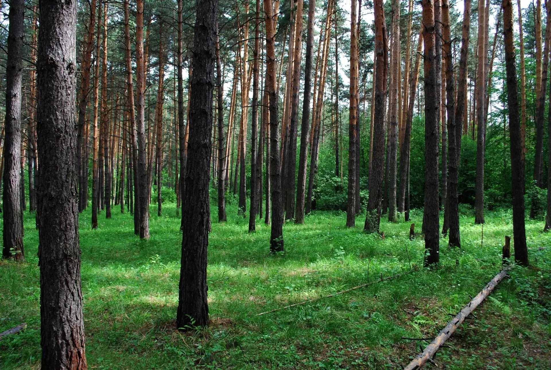Присылайте Ваши фото в "Предложить пост"