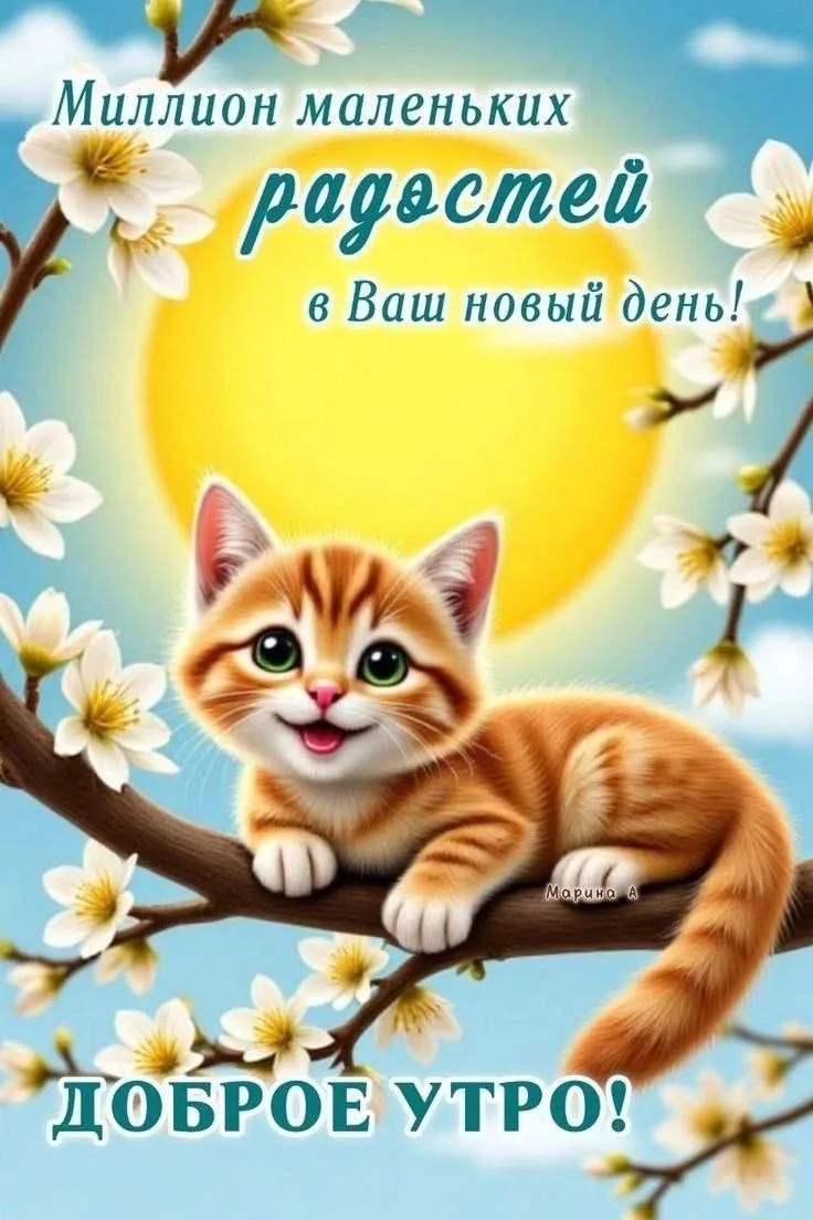 ЛУЧШИЕ ОТКРЫТКИ🙏