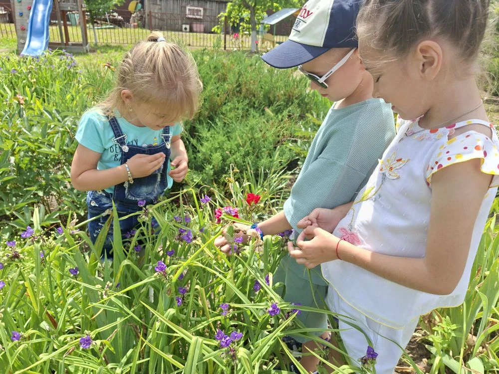 🌼🦗🐞5 июня - День окружающей среды, который напоминает нам о важности бережного отнош...