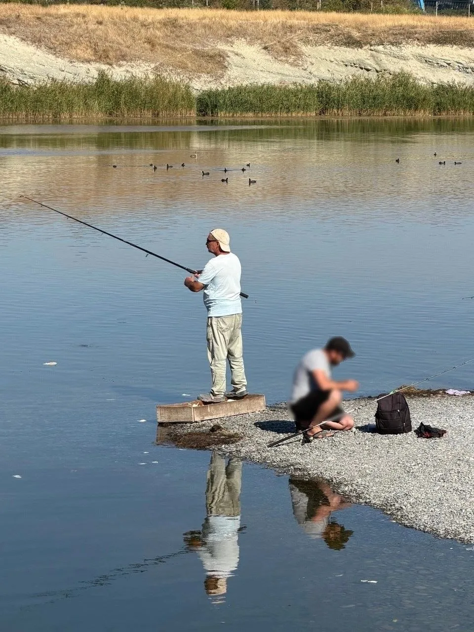 😕Кормушки делали курсанты Морского колледжа и горожане. Не для наглых рыбаков, а для в...