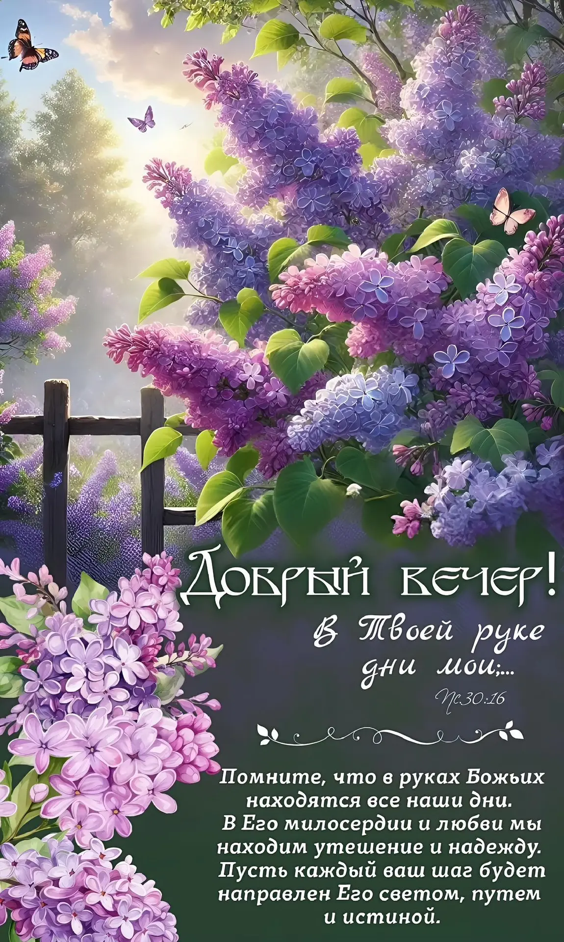 #ХорошегоВечера

Благословенные открытки 🙏