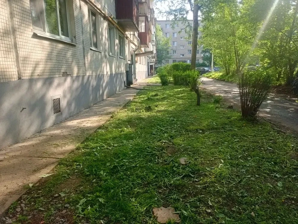 🍀Выполнены работы по окосу травы по адресу: пр-т Ленина, д. 22.