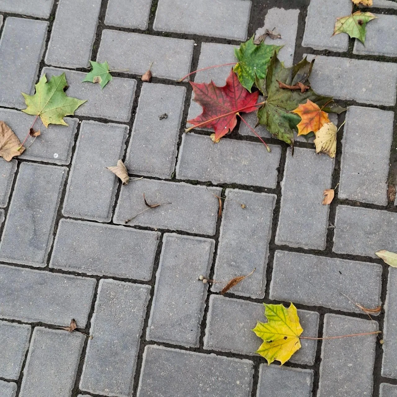 🌦14 сентября в Саратове будет тепло и дождливо