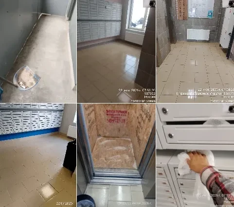 🧱 ЖК «Лампо»: уборка, стрижка газонов, малярные работы и ремонт! 🛠️