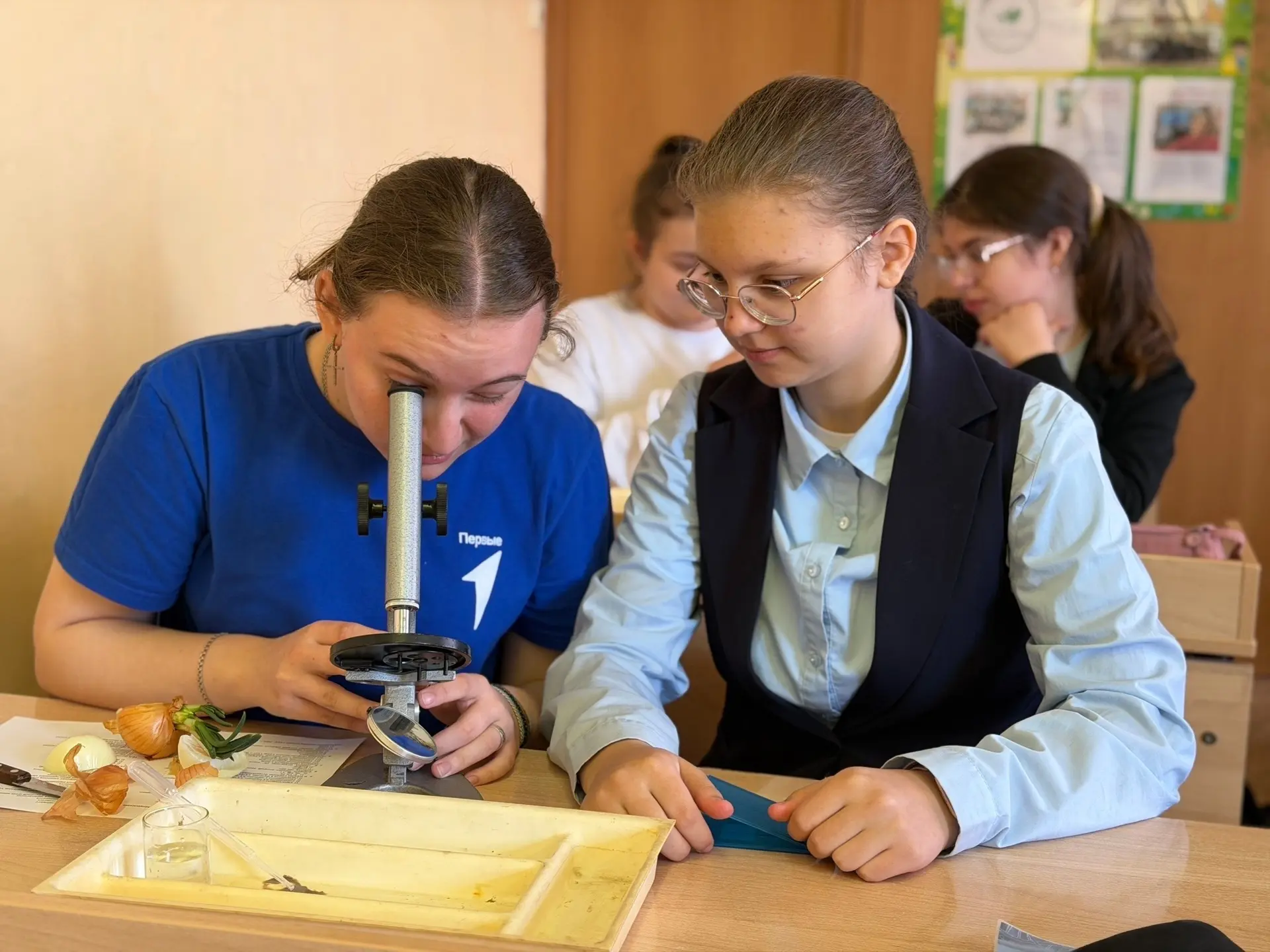В соответствии с планом по ДО в МБОУ «Свободинская СОШ» под руководством педагога ДО Кс...