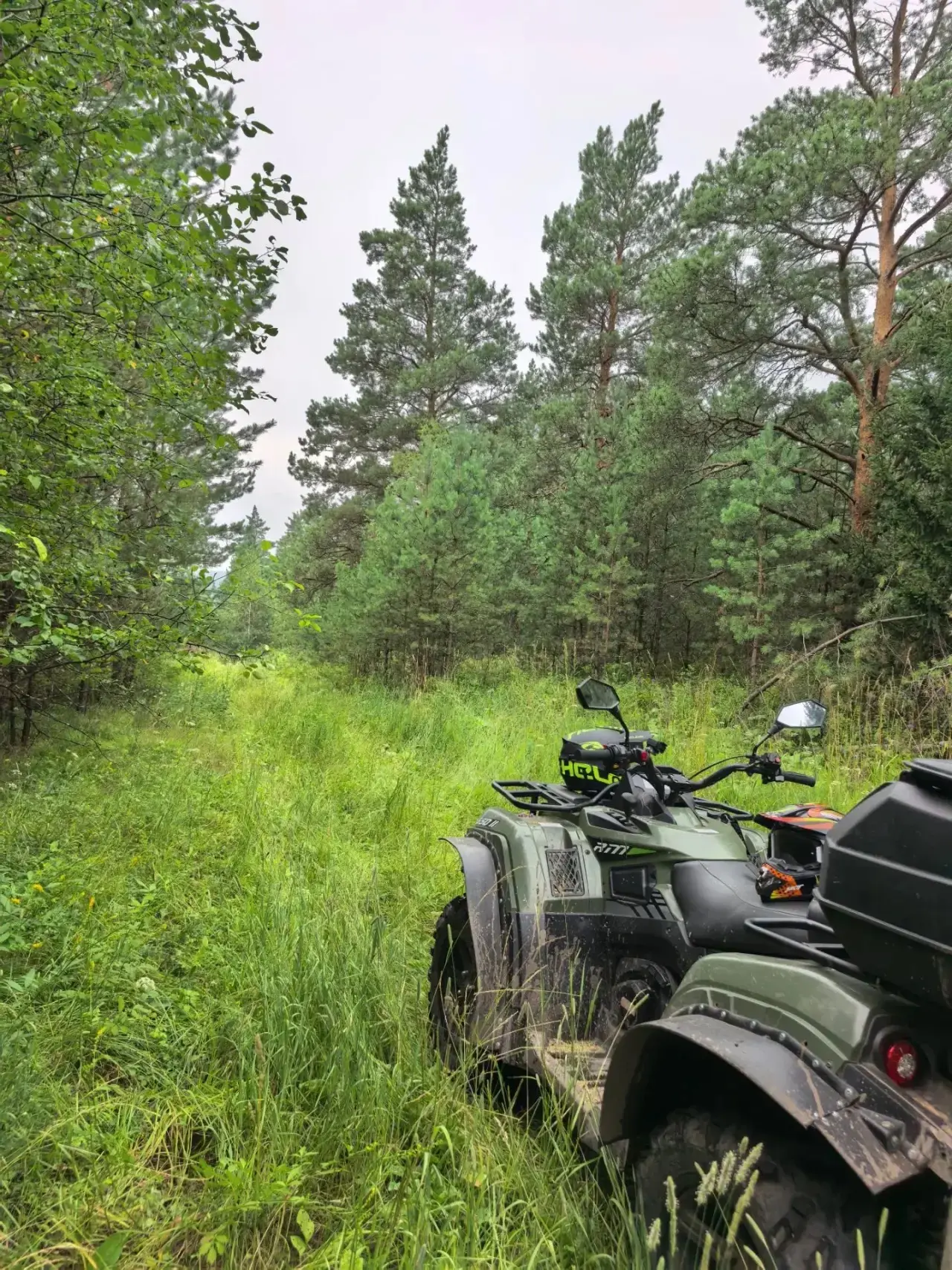 🌲Кузбасс: природа, которую мы сохраняем вместе

Наша малая родина — это не только индустриальное се