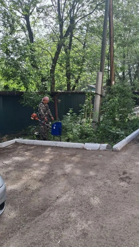Покос придомовой территории по адресу: ул. Молдавская д. 4 🌞🐝🍀