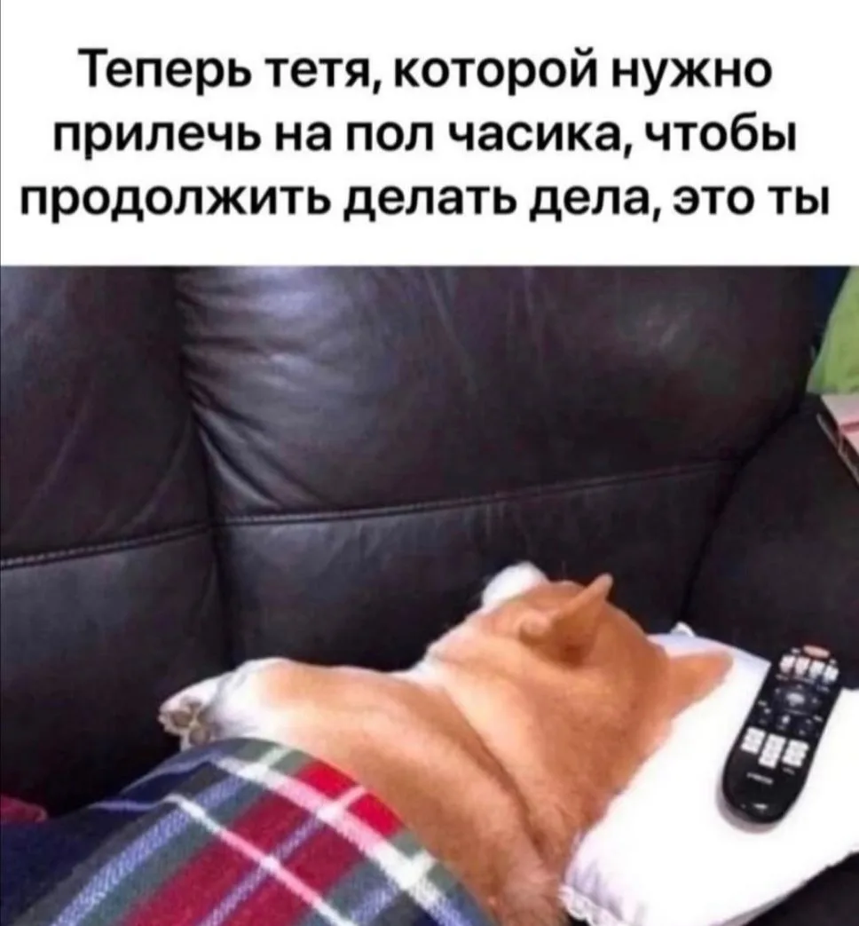Доброе утро, кисулькины 😍