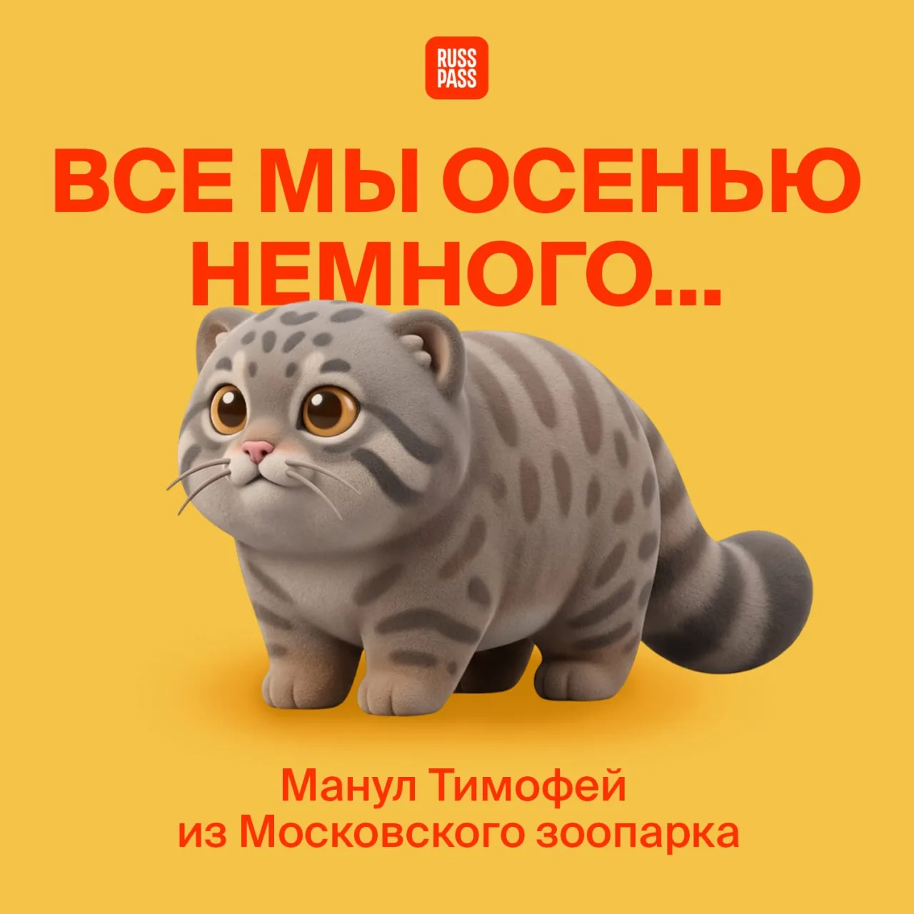 💪 Режим «зажировки» запущен! Это древний инстинкт манулов: перед зимой животные накапл...