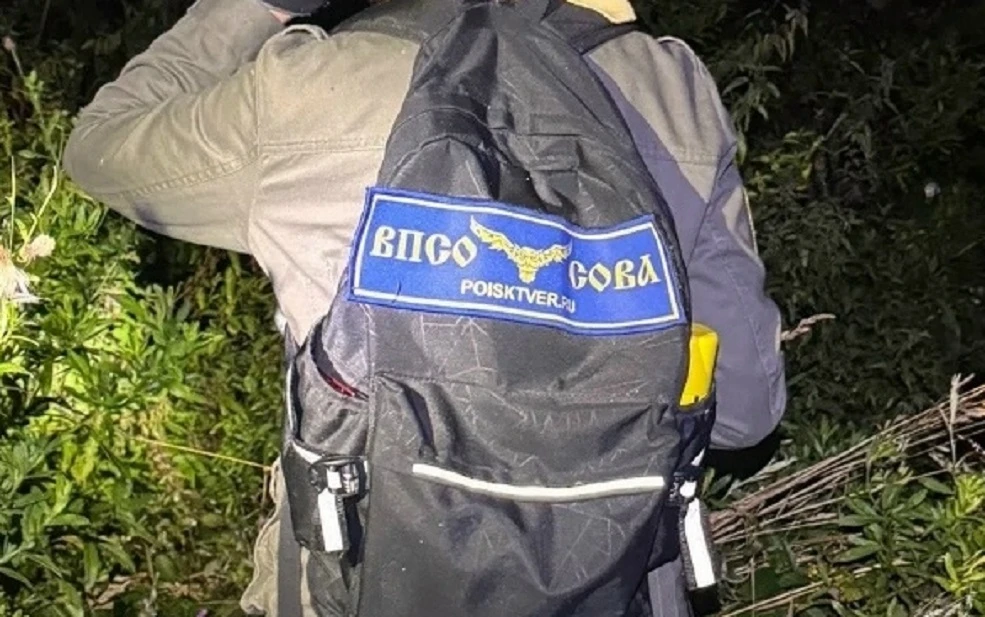 В Тверской области завершились поиски пропавшей во Ржеве девочки-подростка.