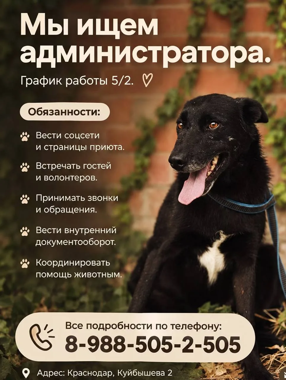 Ищете стабильную работу с реальным смыслом? Приют для животных «Краснодог» приглашает в...