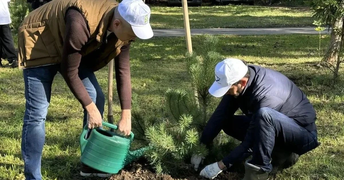 🌳 Более 90 деревьев высадили в сквере Подольска