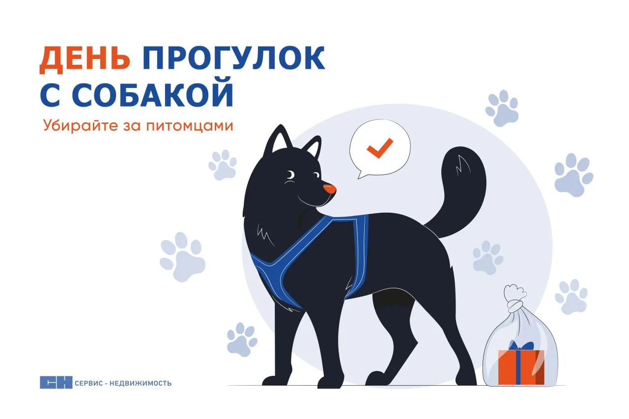 22 февраля отмечается День прогулки с собакой