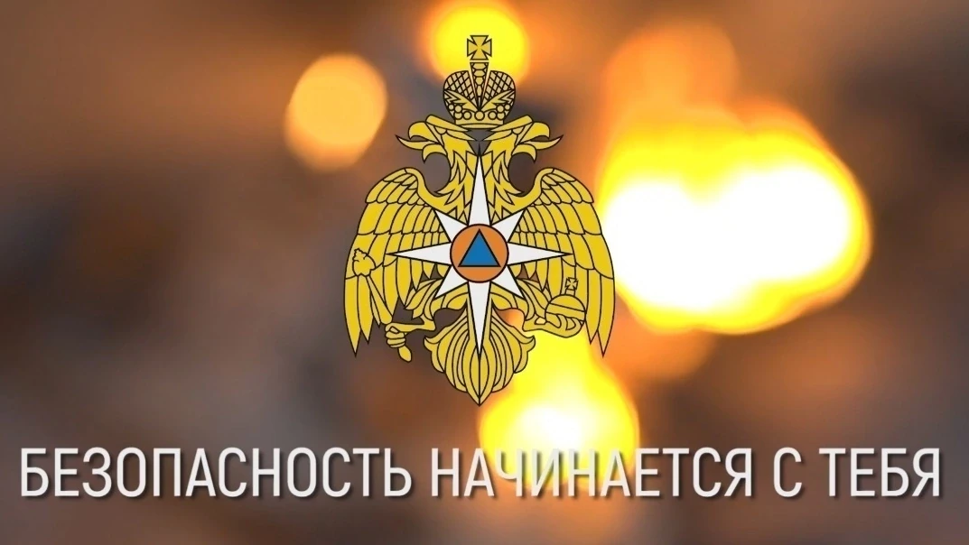 ПРАВИЛА ПОЖАРНОЙ БЕЗОПАСНОСТИ В ЛЕСАХ