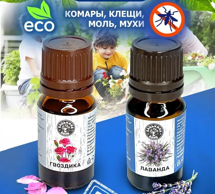 Как защититься от клещей на природе 🌿 

Собираясь на природу, можно использовать простые натуральны