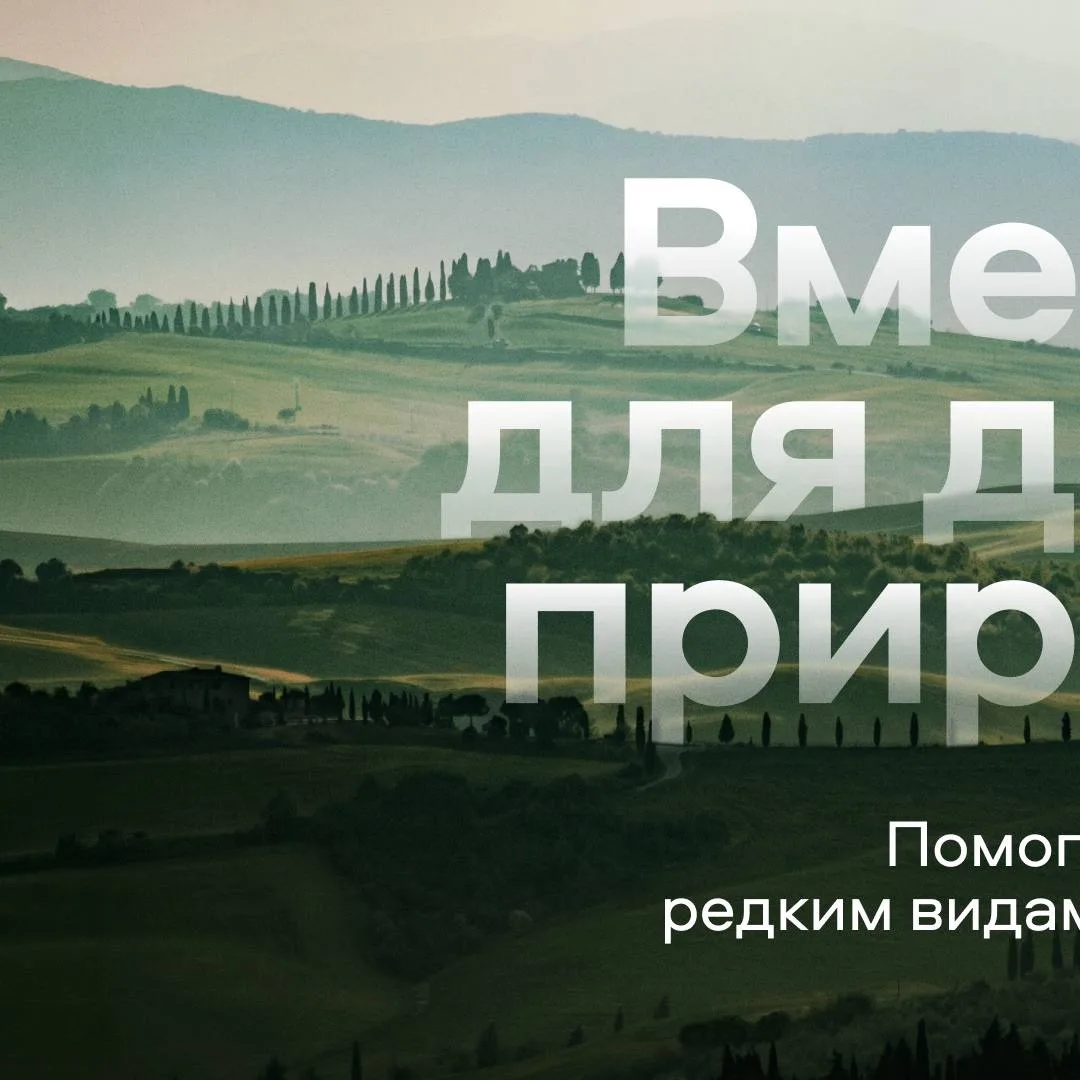 Знакомимся с участниками проекта Ведомостей «Вместе для дикой природы» 🤍