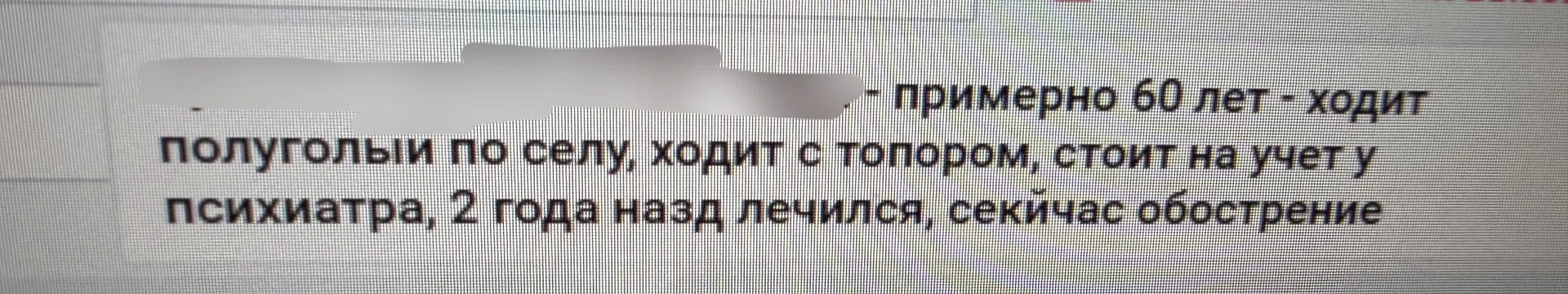 Ну а почему бы и нет… 

Погодка такая хорошая на улице…

Почему бы и не прогуляться по селу с топоро